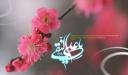 میلاد مسعود امام هادی (ع) مبارک باد