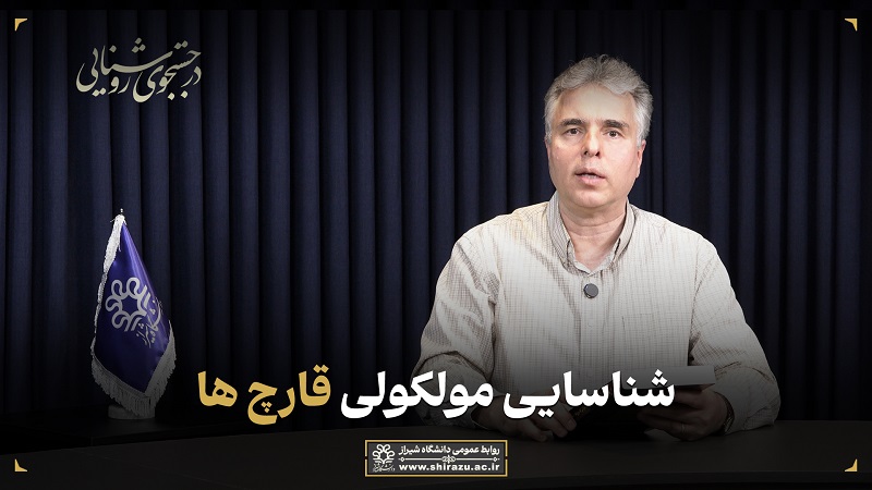 معرفی کتاب: شناسایی مولکولی قارچ‌ها