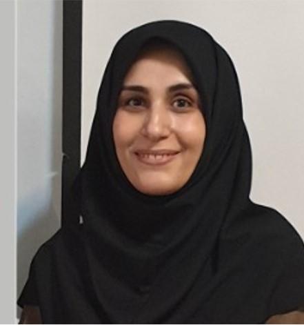 امیر عبدالملکی