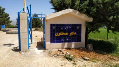 اردوگاه دکتر مصطفوی
